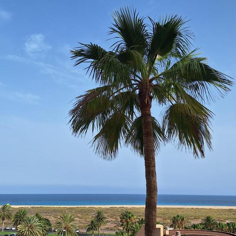 Sun&Ocean - Apartamento de 1 dormitorio - 2