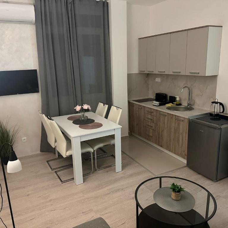 Apt 2- Sokobanjica apartmani - Apartman sa 1 Spavaćom Sobom - 4