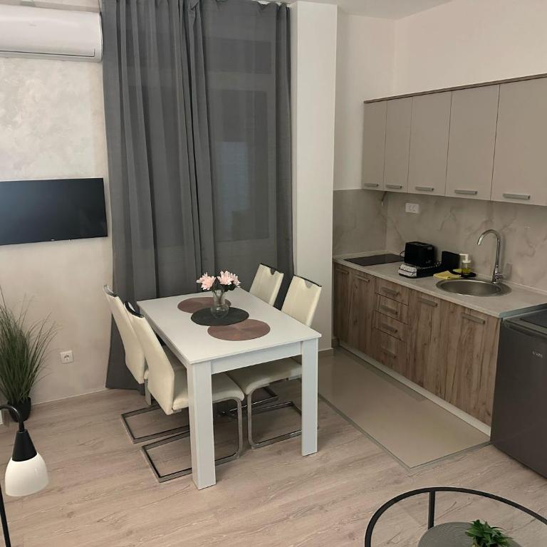 Apt 2- Sokobanjica apartmani - Apartman sa 1 Spavaćom Sobom - 7