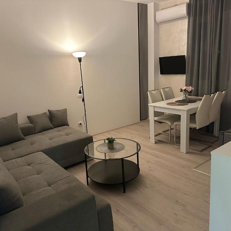 Apt 2- Sokobanjica apartmani - Apartman sa 1 Spavaćom Sobom - 11