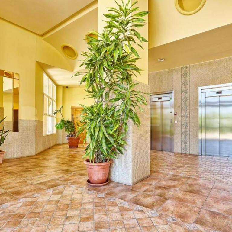 Apartamento a pie de Playa BTCLR - Apartamento de 3 dormitorios - Planta Alta - 54