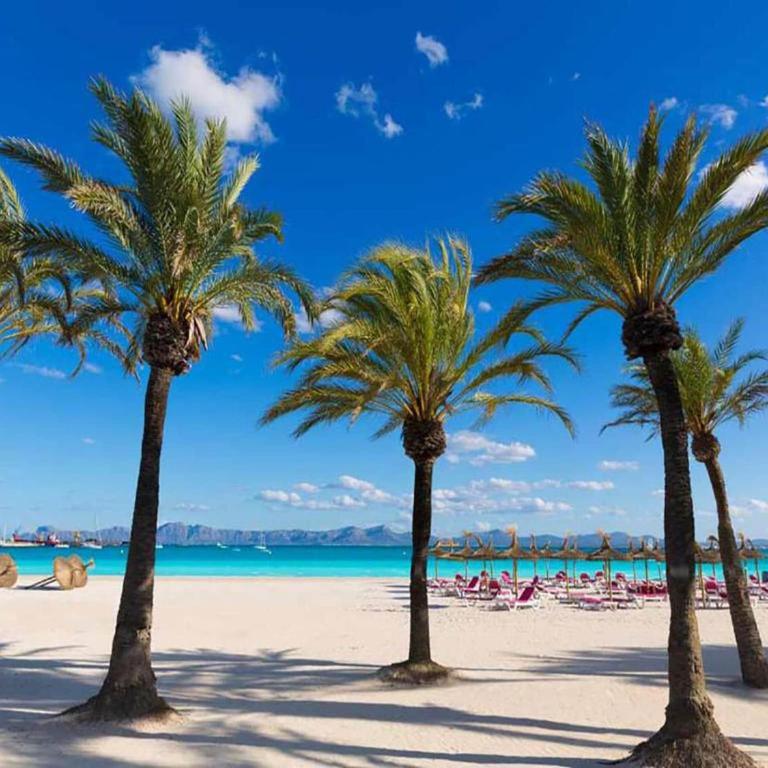 Apartment in Alcudia with Stunning Sea Views - Apartamento de 2 dormitorios - 39