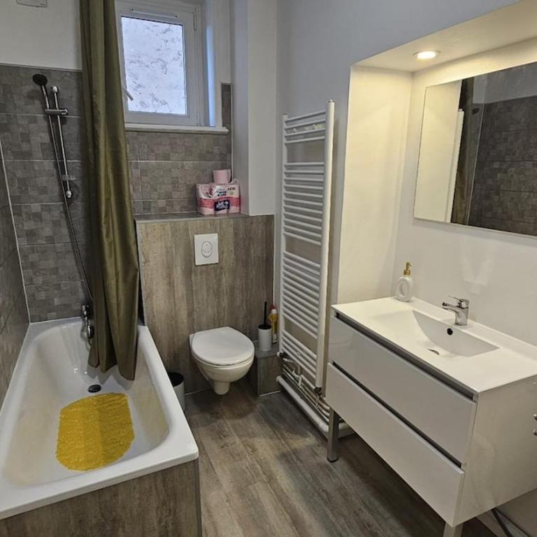 Appart Nancy avec vue sur Meurthe - Apartamento de 2 dormitorios - 8