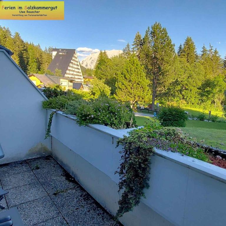 Studio in Bad Mitterndorf - Steiermark 41119 - Studio - 5
