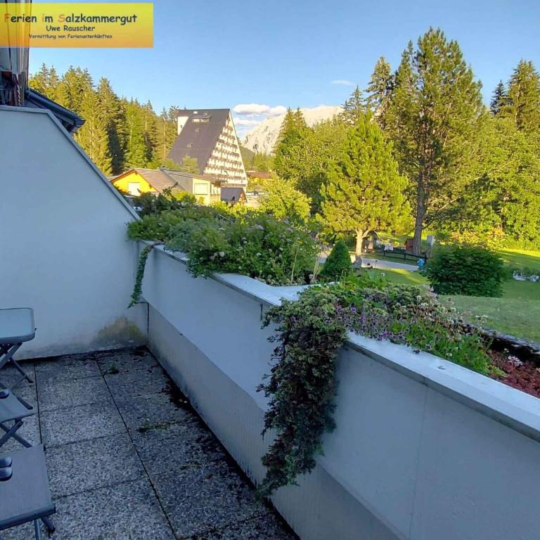 Studio in Bad Mitterndorf - Steiermark 41119 - Studio - 16