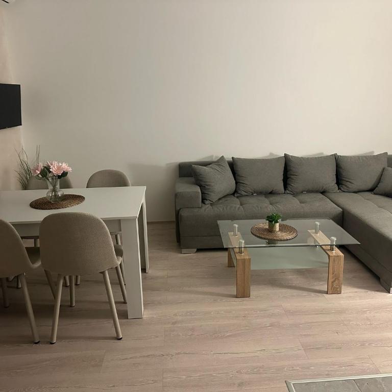 Apt 6- Sokobanjica apartmani - One-Bedroom Apartment - 2