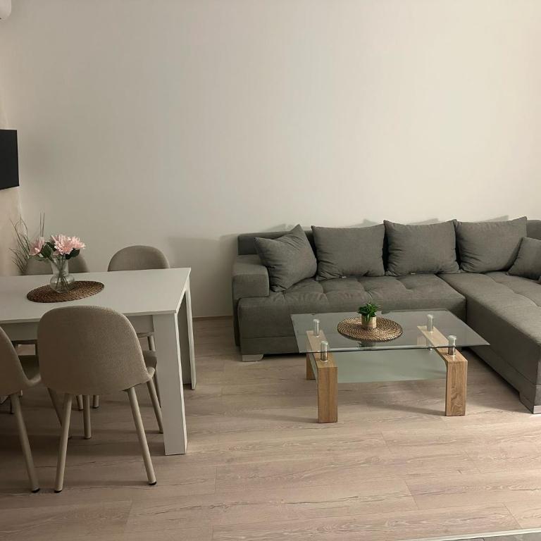 Apt 6- Sokobanjica apartmani - One-Bedroom Apartment - 3