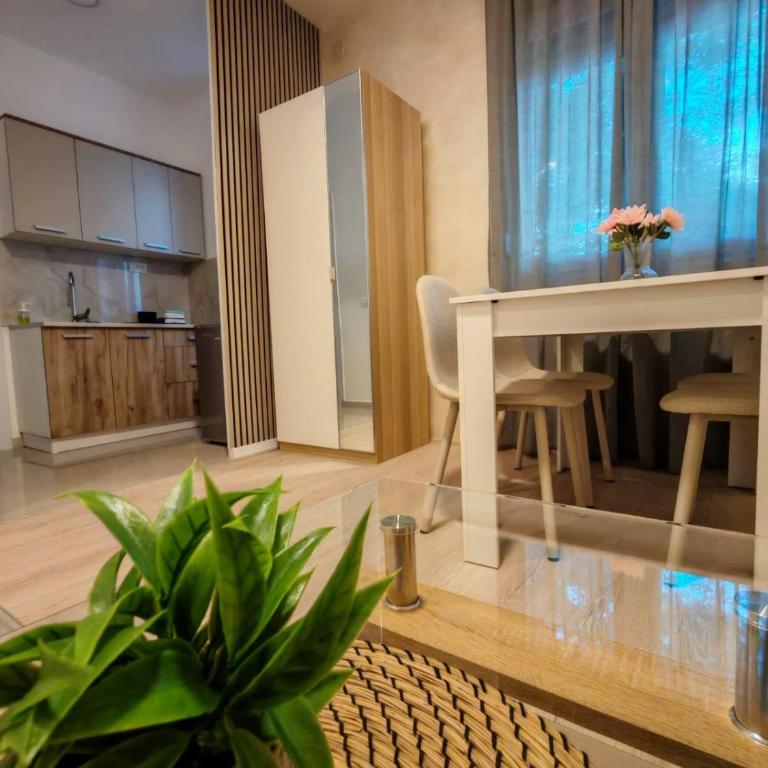 Apt 6- Sokobanjica apartmani - One-Bedroom Apartment - 7