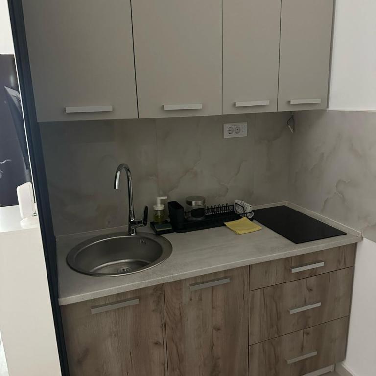 Apt 3- Sokobanjica apartmani - Apartman sa 1 Spavaćom Sobom - 1