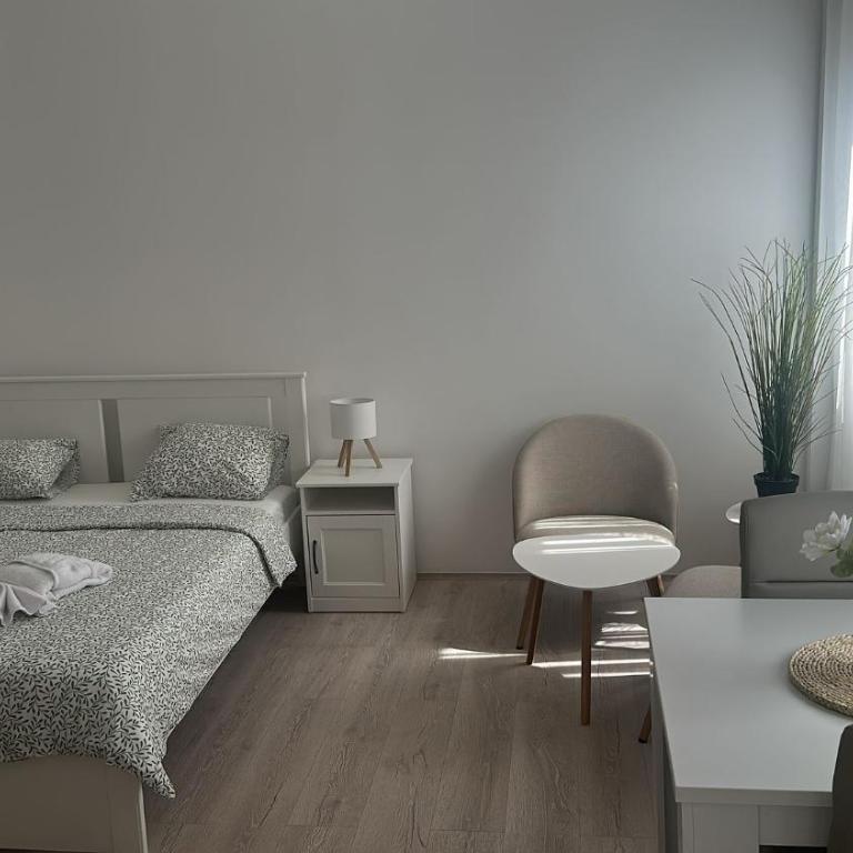Apt 3- Sokobanjica apartmani - Apartman sa 1 Spavaćom Sobom - 2