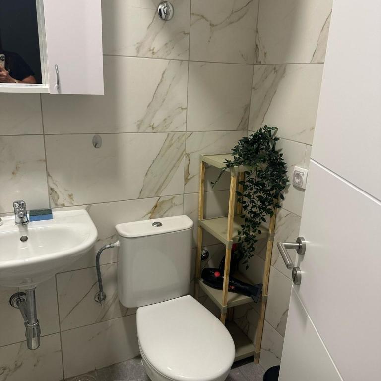 Apt 3- Sokobanjica apartmani - Apartman sa 1 Spavaćom Sobom - 5
