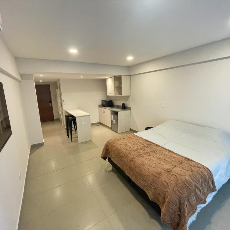 Studio luminoso y nuevo, a pasos de la calle principal - One-Bedroom Apartment - 3