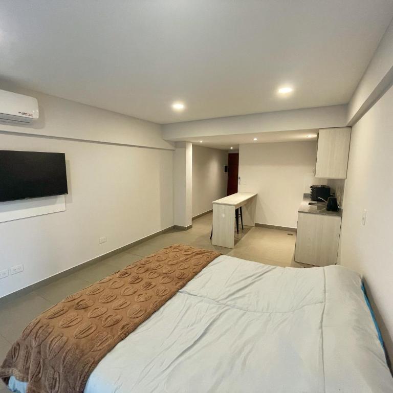 Studio luminoso y nuevo, a pasos de la calle principal - One-Bedroom Apartment - 4