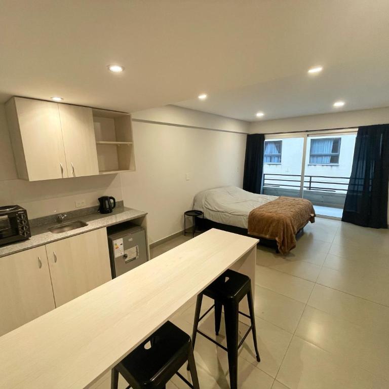 Studio luminoso y nuevo, a pasos de la calle principal - One-Bedroom Apartment - 1