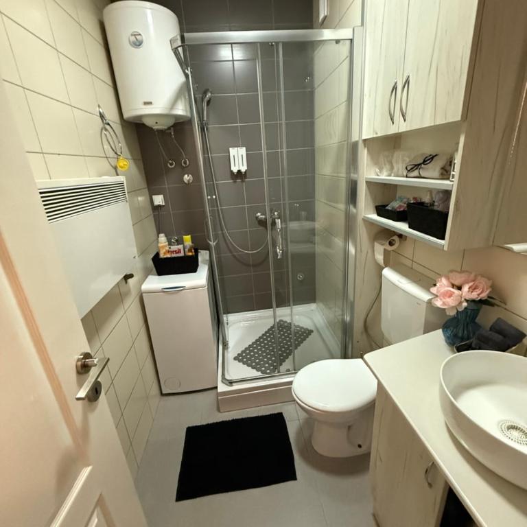 Maslačak Subotica - One-Bedroom Apartment - 19