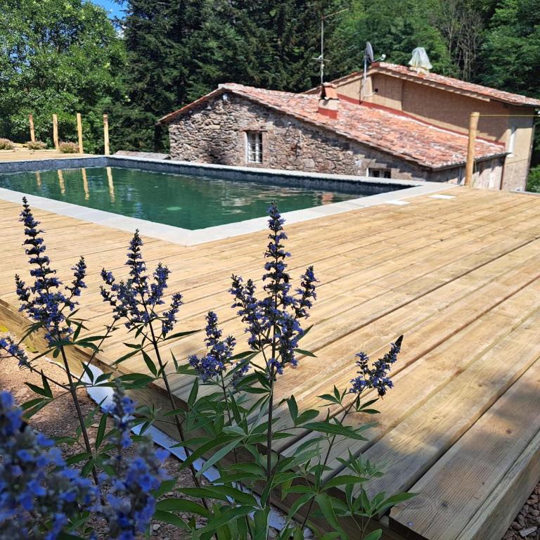 Borgo sulla Visona 7 camere piscina Lucca Toscana - Casa con 7 Camere da Letto - 9