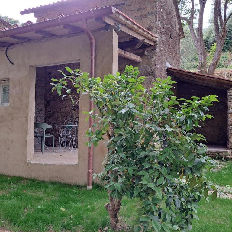 Borgo sulla Visona 7 camere piscina Lucca Toscana - Casa con 7 Camere da Letto - 30