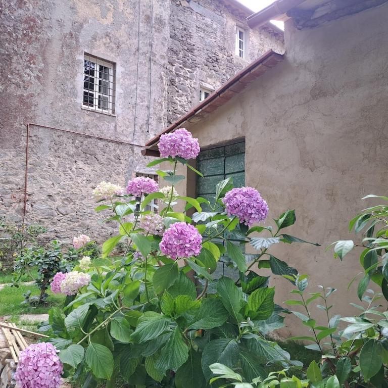 Borgo sulla Visona 7 camere piscina Lucca Toscana - Casa con 7 Camere da Letto - 28