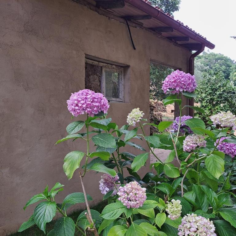 Borgo sulla Visona 7 camere piscina Lucca Toscana - Casa con 7 Camere da Letto - 37