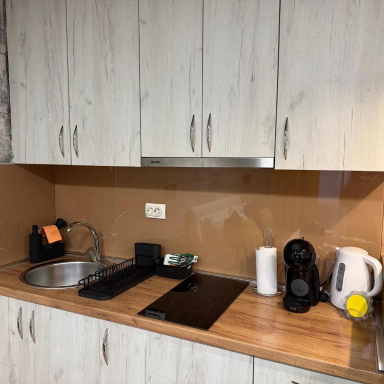 Maslačak Subotica - One-Bedroom Apartment - 8