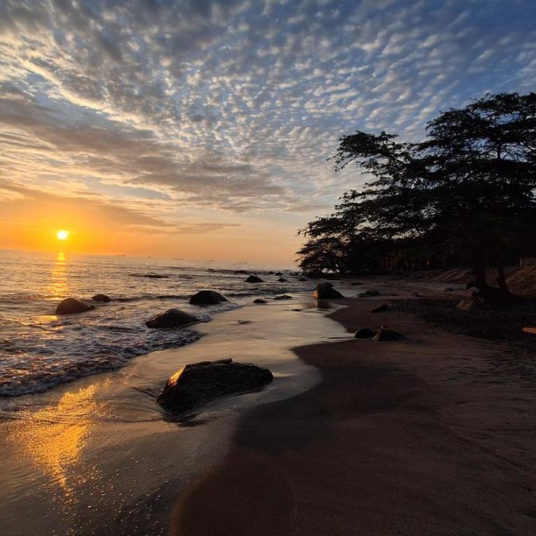 Modern Apartment in Santa Marta - One-Bedroom Apartment - 8