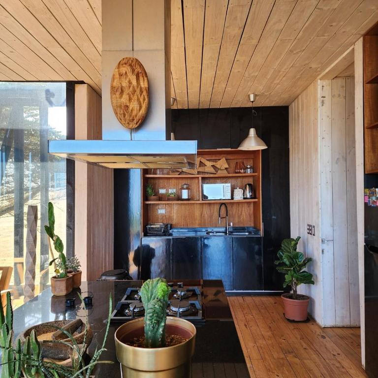 Punta de Lobos Black House - Vacation Home - 17