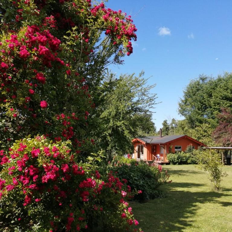 Cabaña Rosita Pucon - Three-Bedroom Home - 27
