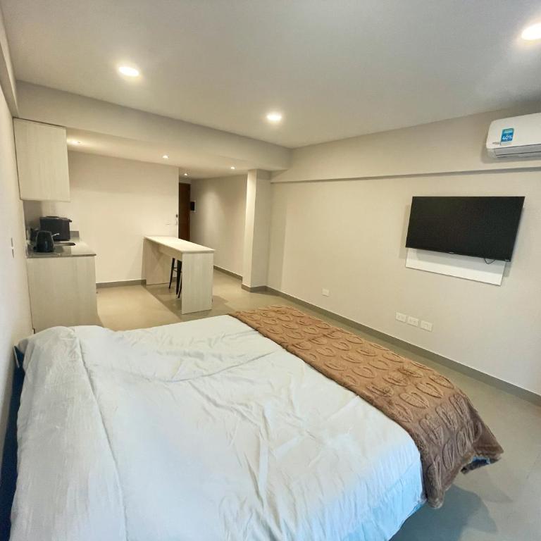 Studio moderno nuevo en pleno centro de San Salvador de Jujuy - One-Bedroom Apartment - 4