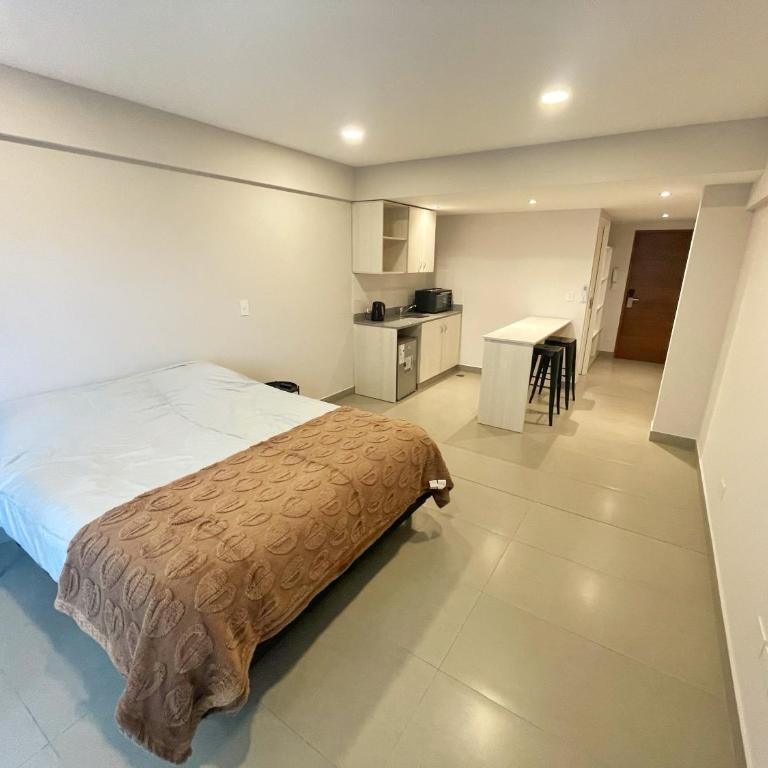 Studio moderno nuevo en pleno centro de San Salvador de Jujuy - One-Bedroom Apartment - 3