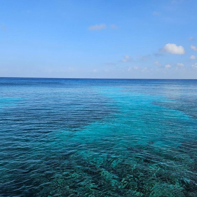 Cantamar 401, huge condo , incredible views - Apartamento con vistas al mar - 12
