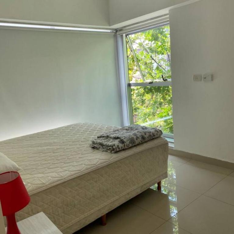 A beautiful apartment full of natural light - One-Bedroom Apartment - 13