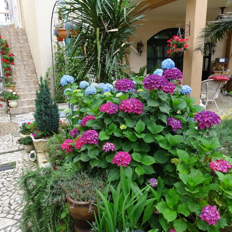 Apartament - Lisa - Apartment with Terrace - 52