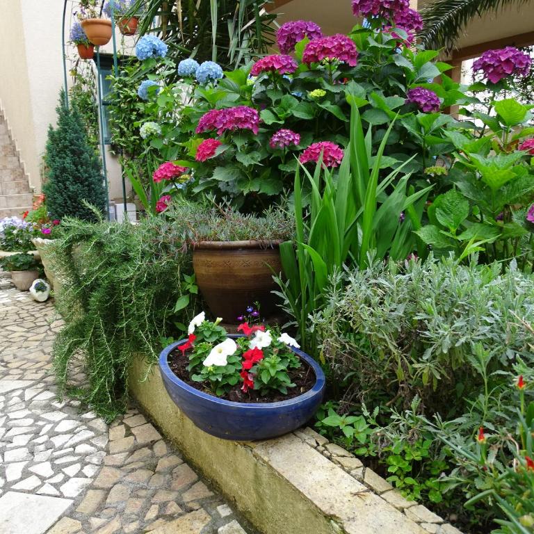 Apartament - Lisa - Apartment with Terrace - 51