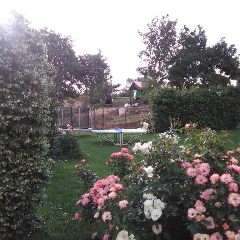 Tenuta Di Argiano A Montepulciano - Appartamento con 2 Camere da Letto - 12
