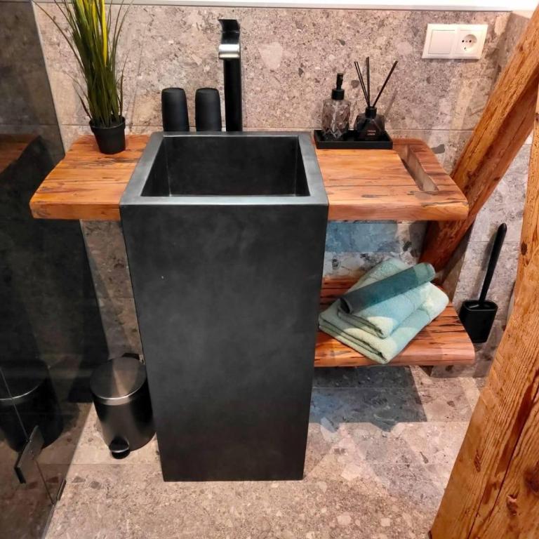 Burgbichl Apartments - Apartment mit Dusche - 7
