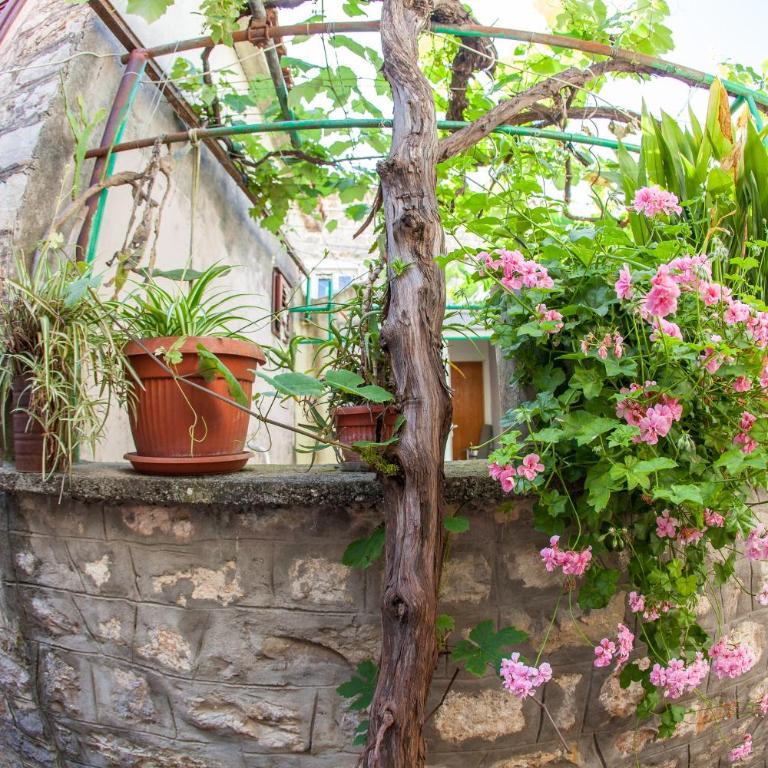 Apartments Old Town - Apartman sa 2 Spavaće Sobe - 46