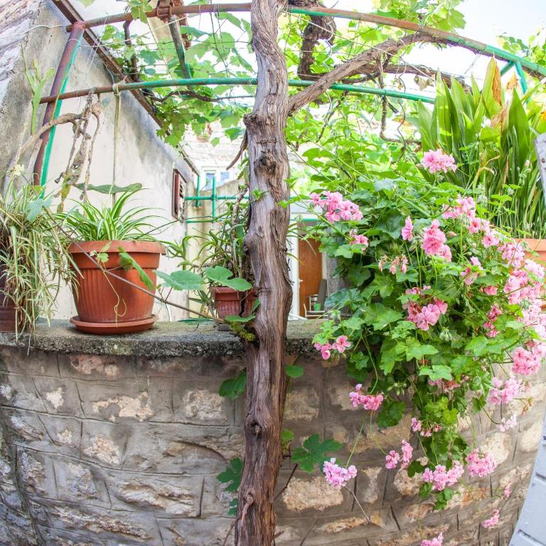 Apartments Old Town - Apartman sa 2 Spavaće Sobe - 47