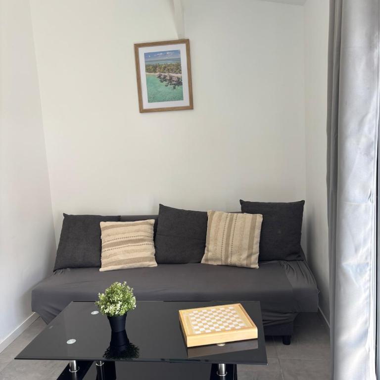 Charmant T4 avec jardin, proche jardin des plantes - Apartment mit 3 Schlafzimmern - 49