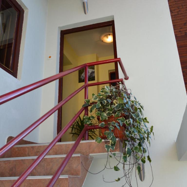 Apartmani Božana Vojinović - Double Room with Shared Bathroom - 20