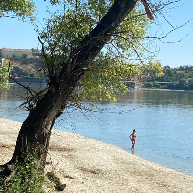 Perpetuum mobile - Apartman sa 2 Spavaće Sobe - 36