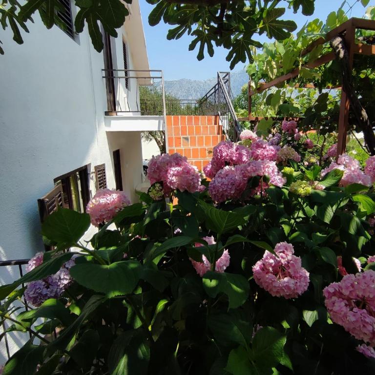 Holiday house in the Kotor Bay - Two-Bedroom Suite - 23