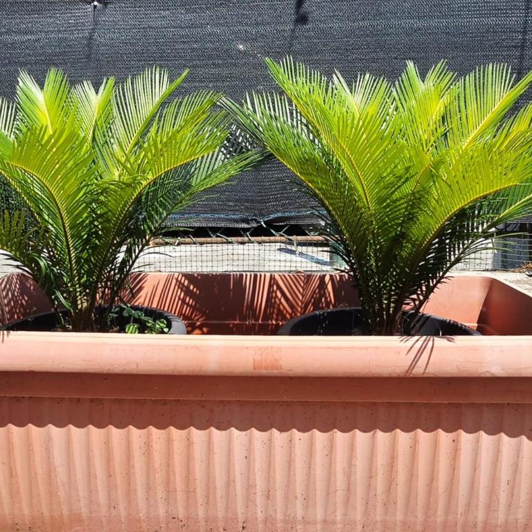 Guest Holiday Nonantola - Appartamento con 1 Camera da Letto - 19