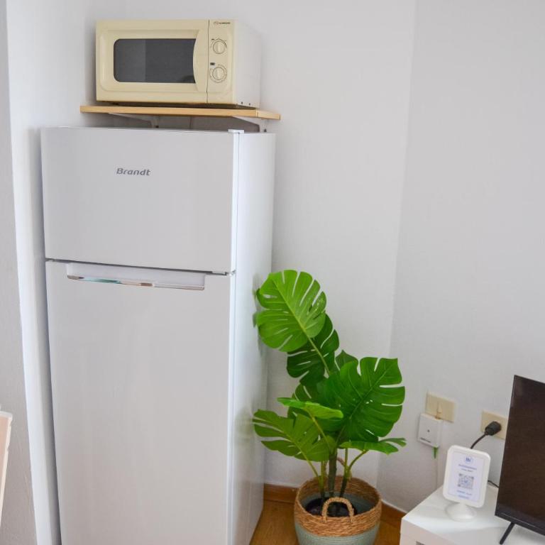 Casa Alessandro by Best Holidays Fuerteventura - One-Bedroom Apartment - 23