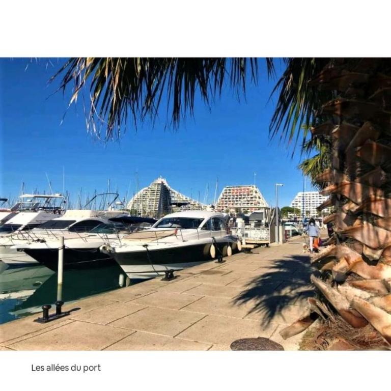 Vacances à la mer - Standard Studio - 10