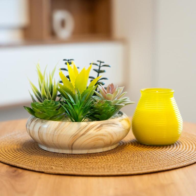 Todorović Lux Vrnjačka Banja - One-Bedroom Apartment - 64