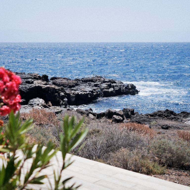 Bright oceanfront bungalow, views, garden, coastal - Bungalow - Frente al agua - 41
