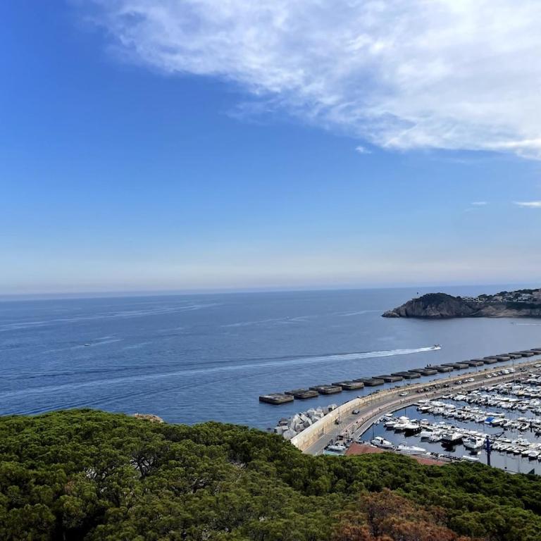 An apartment with an ocean view - Apartamento de 2 dormitorios - 5