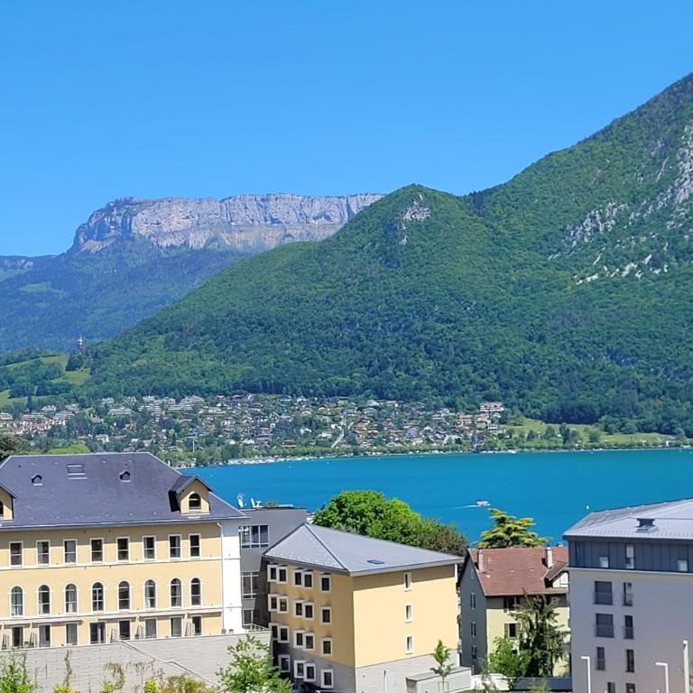 Le Tableau du Lac 507 - 2 chambres avec terrasse vue Lac et Parc - Appartement - 24