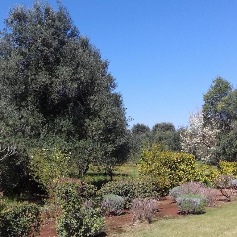 Trulli Stella - Spectacular 3 bed Villa w/Private Pool - Three-Bedroom Villa - 25