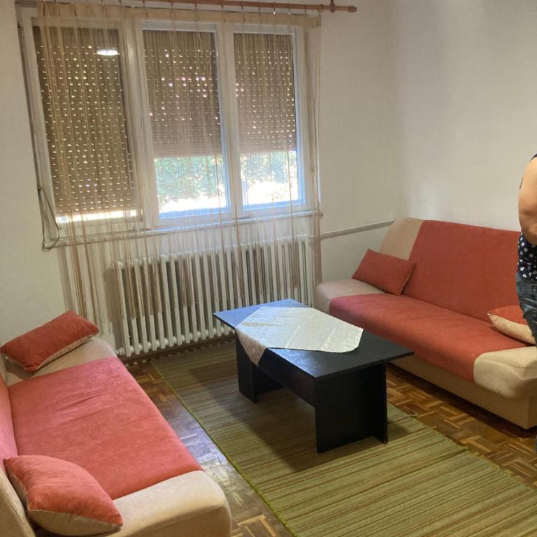 Apartment for Exit Festival 2025 - Apartman sa 1 Spavaćom Sobom - 5